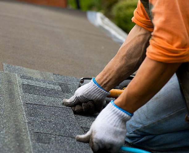 Best New Roof Installation  in Marion, AL