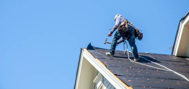 Best Local Roofing Companies  in Marion, AL